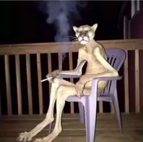 abdurrahimaycan Avatar